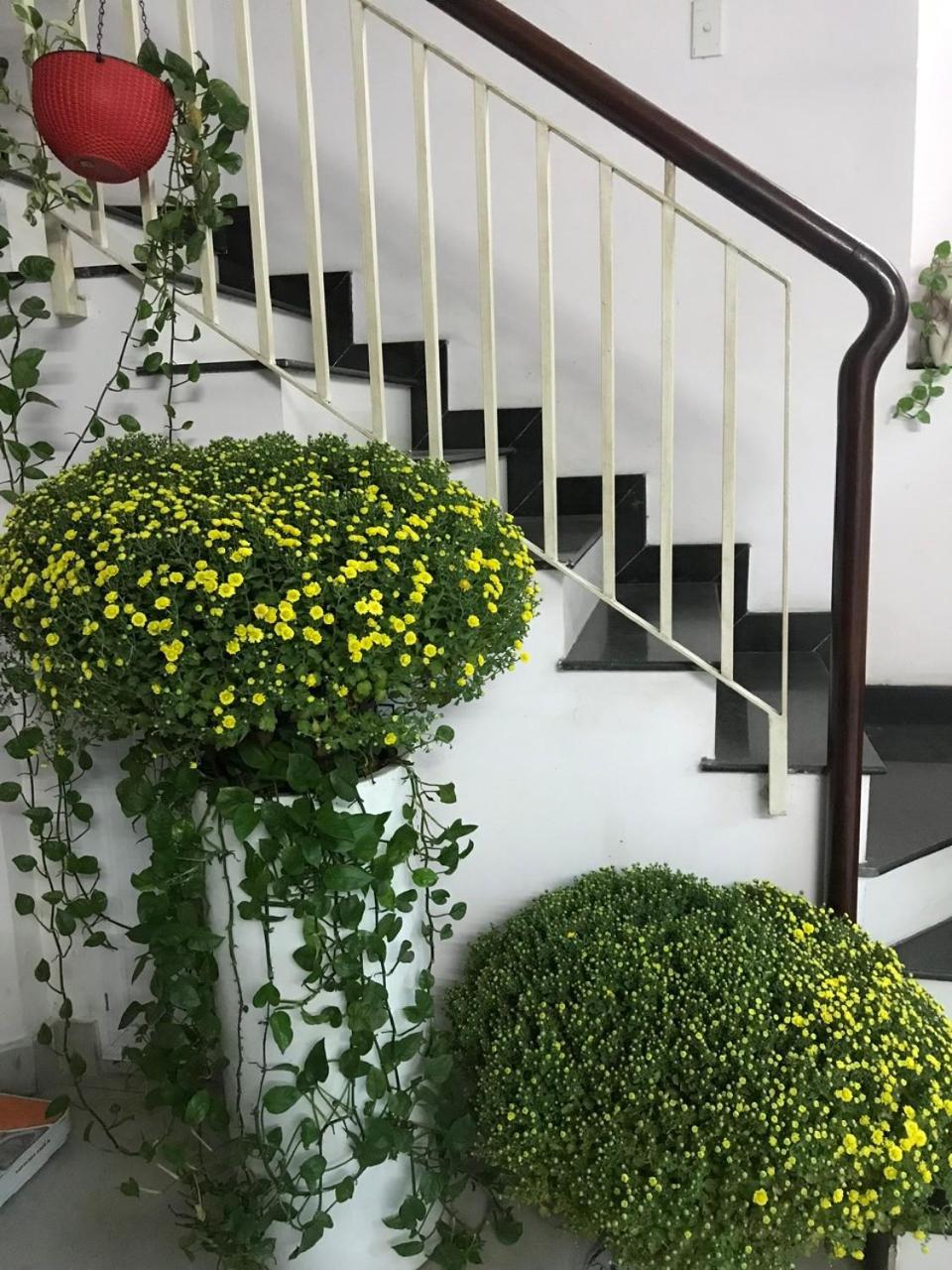 Vanapartment โฮจิมินห์ซิตี้ ภายนอก รูปภาพ